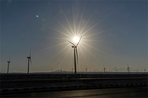 Egypt’s Zaafarana wind farm: Africa has massive solar and wind potential (Image credit: Khaled Desouki/AFP via Getty Images)