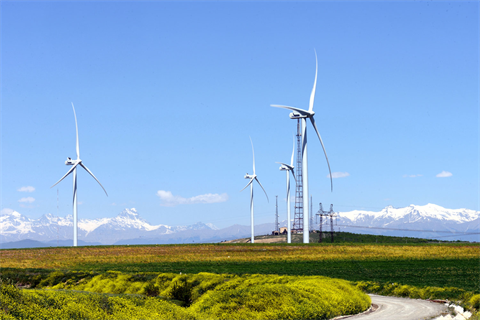 Georgia plans 200MW wind build-out