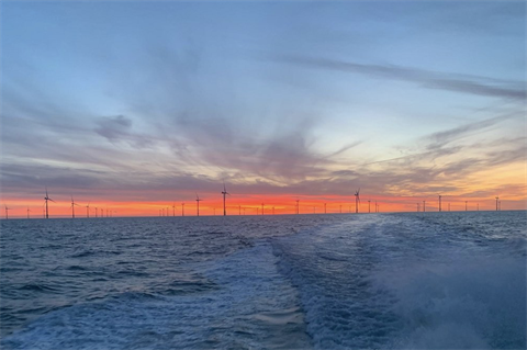 Offshore wind boosts RWE’s 2020 profits to exceed expectations