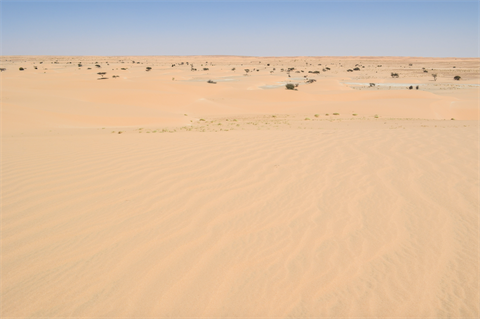CWP plans 30GW wind and solar power-to-x in Mauritania