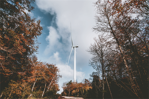 Siemens Gamesa wins second order for Indian wind turbine