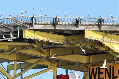 The Wenlock gas platform is scheduled to be plugged and abandoned in 2023