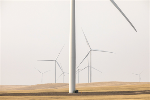 Wind power boom in the Americas defies pandemic