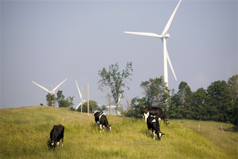 Wind farms such as Maple Ridge are helping Maine overcome its overreliance on gas, its energy officials said (credit: Robert Nickelsberg/Getty Images) 