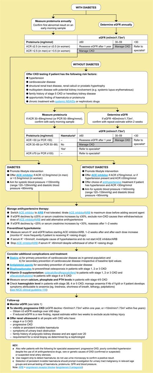 Early Identification and Management of Chronic Kidney Disease in Adults ...