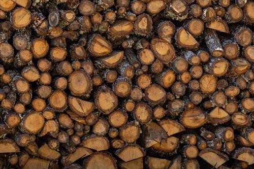 A stack of wood in the Rodopi mountain range, Greece, March 2020. Photo: Nicolas Economou/NurPhoto via Getty Images