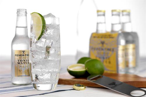 Fever Tree and LDC private equity investment