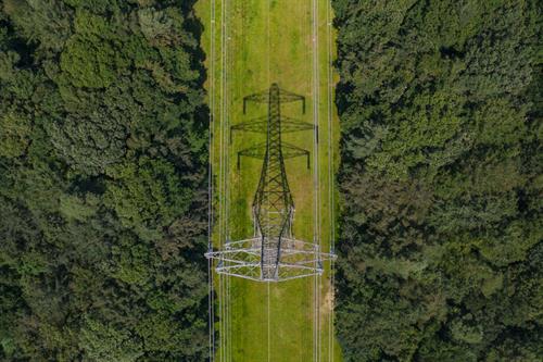 Drone shot directly above an electricity pylon and its shadow at the centre of two forests, Southampton, United Kingdom 