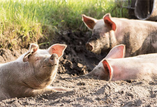 Defra Announces Boost For Farming Innovation HortWeek