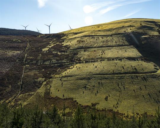 Watchdog to inspect 291 quarries
