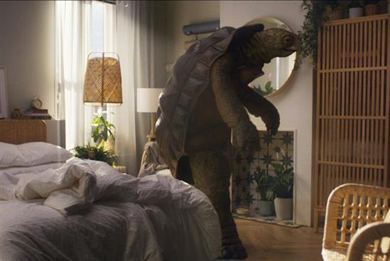 Pick of the Week: An early night (on an Ikea mattress) wins the race