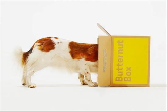 Butternut Box picks agency to handle creative account