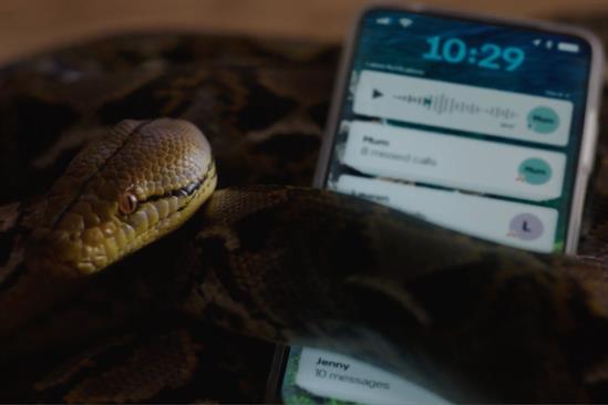 Home Office “Enough” by FCB London