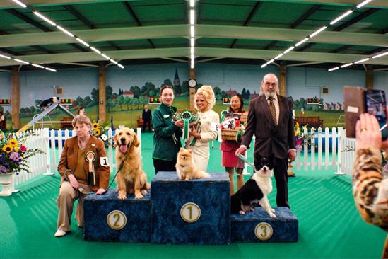 Pets at Home “We’re all for pets” by T&P