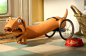 Flash the sausage dog