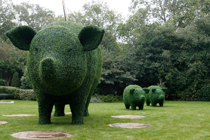 Garden party: LD Communications brief