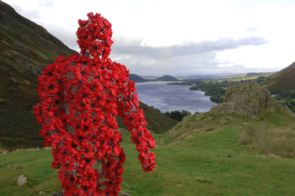 Royal British Legion: top for social media