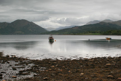 VisitScotland: looking for agency support