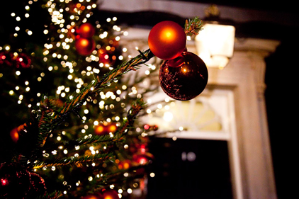 Christmas trees: 'buy real' consumer campaign