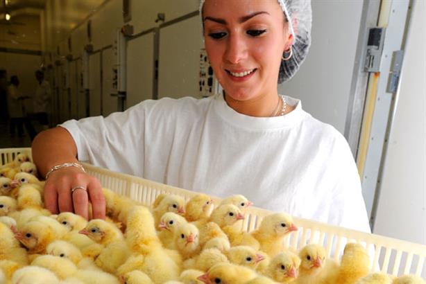 British Poultry Council: first corporate comms agency appointment