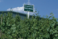 Nexus: to promote Laithwaites to younger consumers