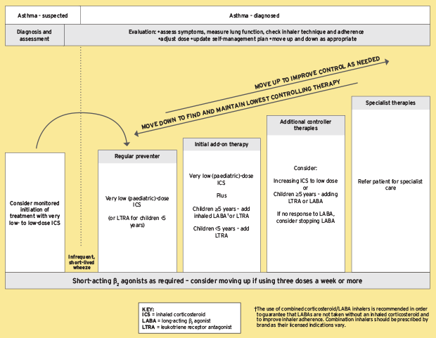 Asthma Chart Pdf