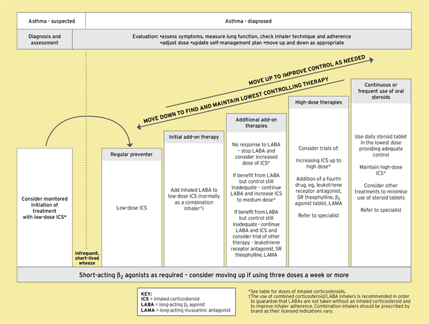 Management of Asthma in Adults (BTS/SIGN Guideline)  MIMS 