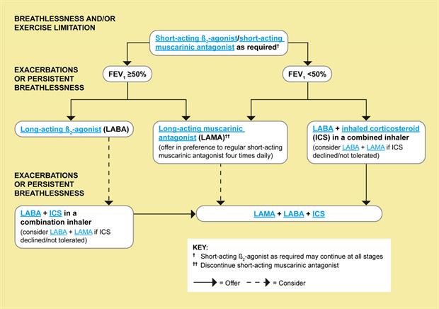 COPD Flow Chart