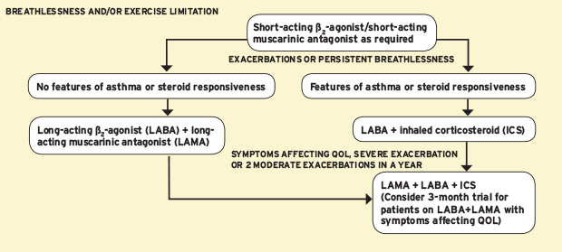 Respiratory Inhaler Identification Chart