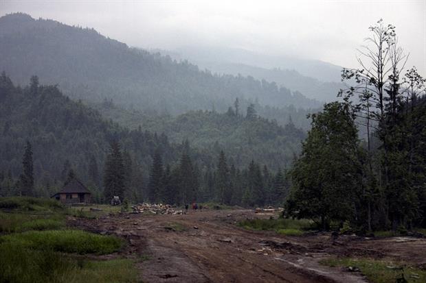 Nature: Valley under Toroiaga in Maramureş Mountains, Romania (Image: Martin Kozák / Wikimedia Commons)