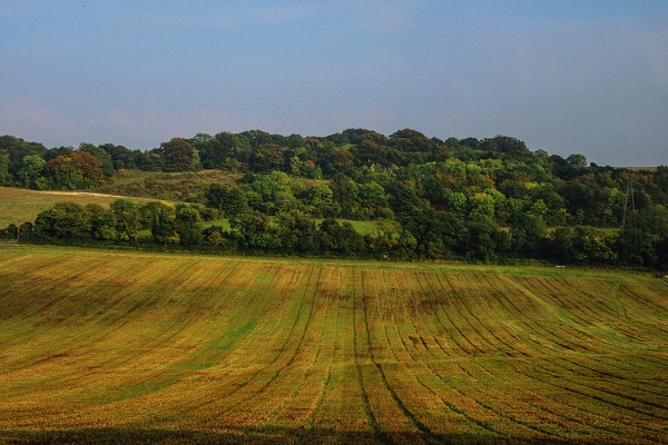 Agriculture: Fields in Kent (JR)