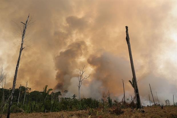 Nature: Amazon fires 2019 Porto Velho (Image: Michael Dantas / WWF Brasil)