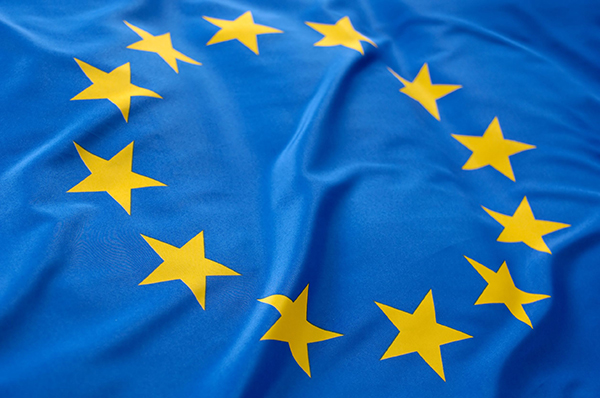 Flag, EU (photograph: Pixpack/123RF)