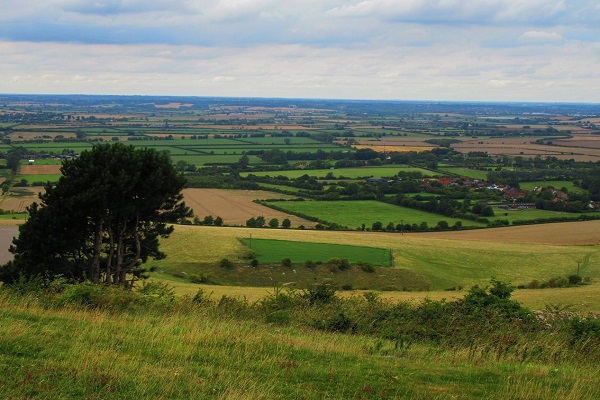Agriculture - Fields in Ashridge (JR)