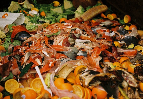 Food waste _Flickr copyright Taz
