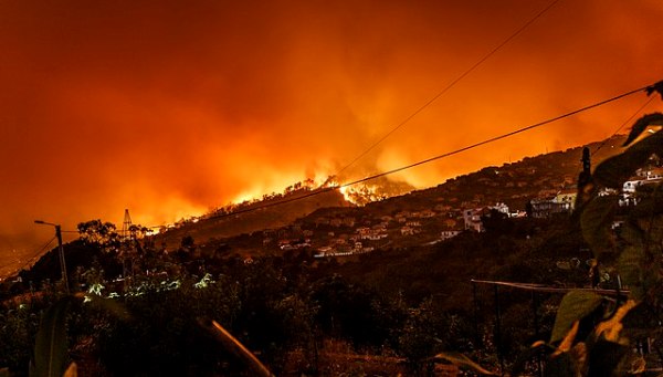 Forest fires