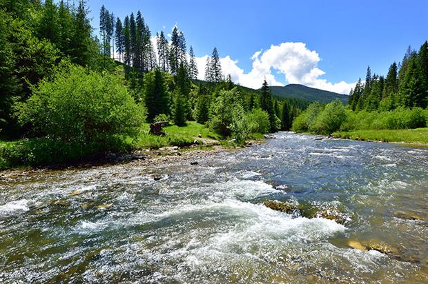 The Bistrita River near Ciocanesti, Bukovina, Romania. Photograph: Albert Ceolan/Getty Images