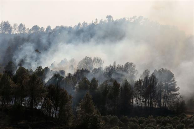A forest fire in Catalonia, summer 2019. Campaigners are dismayed that the EU's 2030 emissions cut will include carbon sinks like forests that are increasingly under threat. Photo: Pau Barrena/AFP via Getty Images