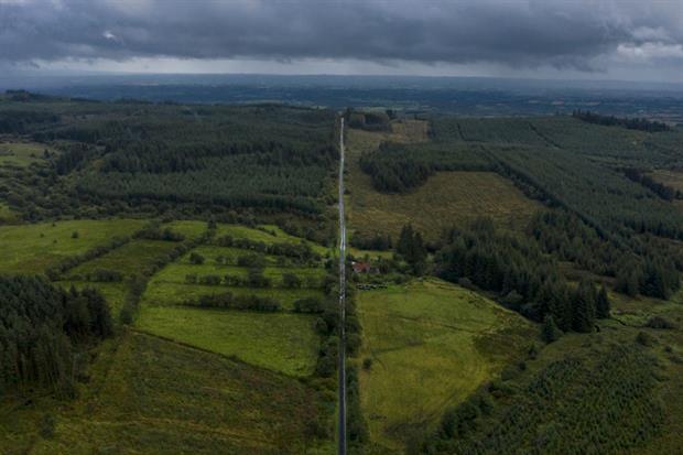 Plantation forests seen from the air at the border between Northern Ireland and the Republic of Ireland. ECA has warned much investment in tree planting goes to forest monocultures. Photo: Dan Kitwood/Getty Images
