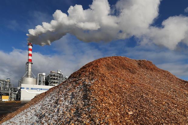 Wood chips at the IKEA's Novgorod furniture plant in Russia. Demand for woody biomass is set to grow within the EU for use in energy, construction and consumer products. Photo: Vladimir Smirnov\TASS via Getty Images