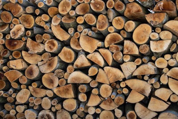 A pile of logs cut for firewood as in Greece's Rodopi mountain range, March 2020. Conservationists are concerned revised EU rules will do little to prevent forest clearances for energy use. Photo: Nicolas Economou/NurPhoto via Getty Images