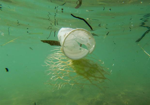 A plastic cup in the Saint Maria di Castellabate sea in Campania, southern Italy. Photo: Salvatore Laporta/KONTROLAB/LightRocket via Getty Images