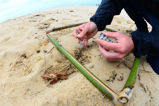 A French scientist picks up microplastic waste on the beach of Contis, southwestern France, August 2020. Photo: MEHDI FEDOUACH/AFP via Getty