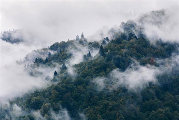 Mist rises over the Carpathians, Zakarpattia Region, western Ukraine. The EU is the largest market for Ukrainian timber. Photo: Serhii Hudak/ Ukrinform/Barcroft Media via Getty Images