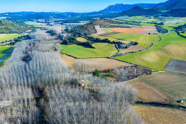 A poplar grove in Navarre, Spain. Short-rotation coppicing counts as one source of advanced biofuels. Photo: Mikel Bilbao/VWPics/Universal Images Group via Getty Images
