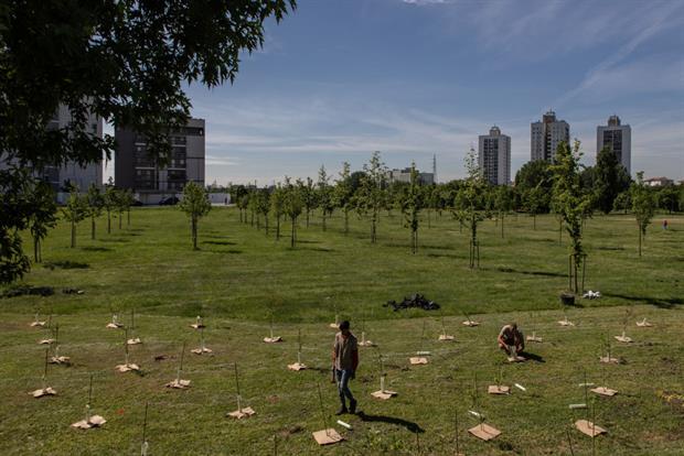 Tree planting as part of the Forestami project in Milan, Italy. The leaked draft strategy suggests active tree planting should be reserved largely for urban and agricultural areas. Photo: Emanuele Cremaschi/Getty Images