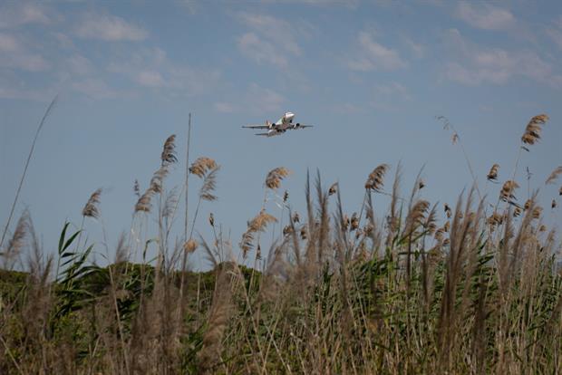 A plane takes off from Josep Tarradellas Barcelona-El Prat airport, near the natural protected area of La Ricarda, Spain, June 2021. Photo: David Zorrakino/Europa Press via Getty Images