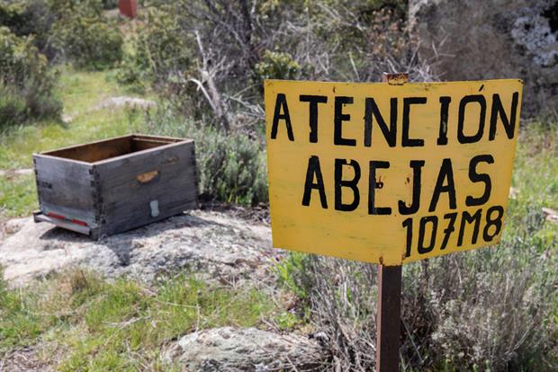 The entrance to an apiary in Navalafuente, Madrid, April 2022. The draft bee guidance document proposes a tolerable limit of a 10% decline in honey bee populations when assessing pesticides. Photo: Rafael Bastante/Europa Press via Getty Images