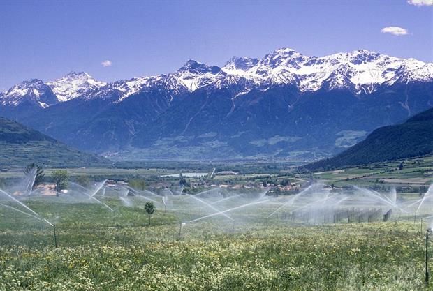 Water sprinklers on a field in Trentino, Italy. The Greens are worried that member states are seeking to use EU green funding on intensive irrigation projects. Photo: Tommaso Di Girolamo/AGF/Universal Images Group via Getty Images