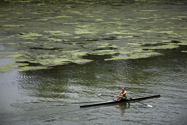 A rower on eutrophicated water in Toulouse, France. The EU auditors have urged member states to force companies to insure against damage to the environment such as water pollution. Photo: Alain Pitton/NurPhoto via Getty Images